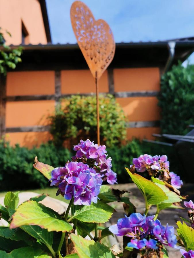 Dorfidyll Wendisch Priborn Apartment ภายนอก รูปภาพ